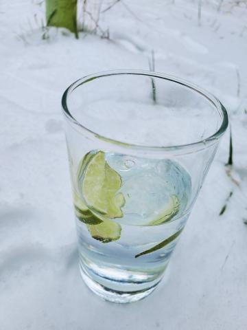 gin and tonic in the snow
